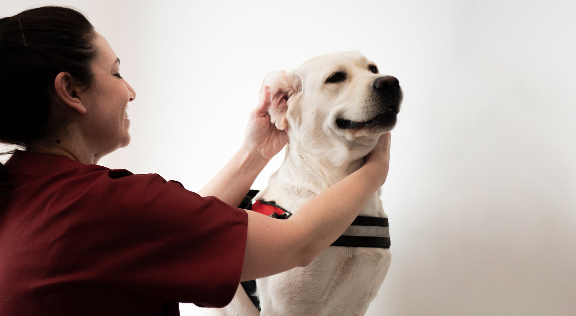 Clinica Veterinaria Centrale