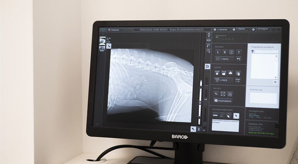 Radiologia digitale diretta
